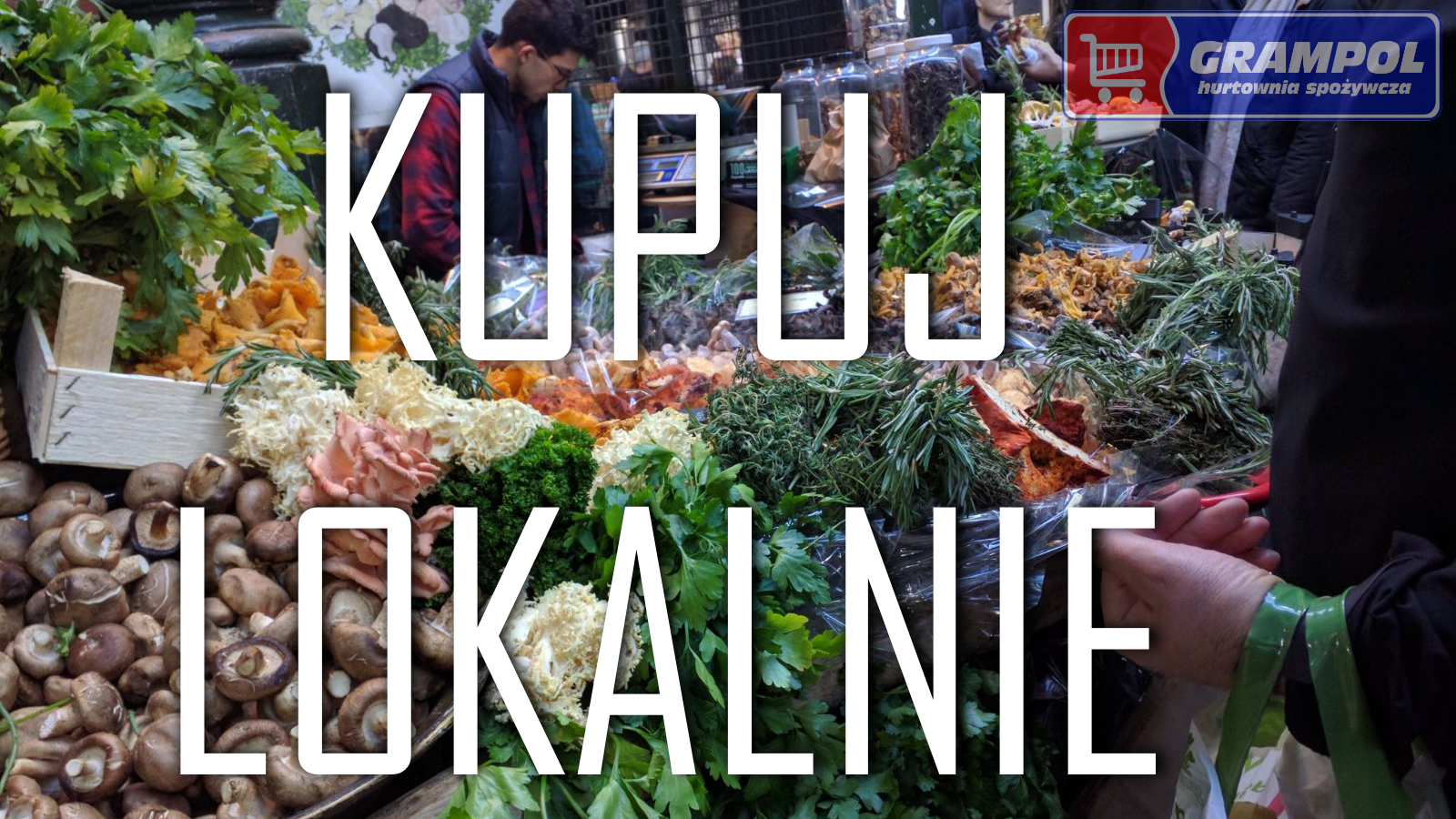 pierdy i hale do wynajęcia